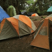 Mti Kubwa Camp - Big Tree Camp